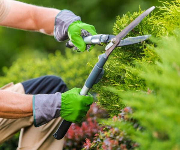 jardineiro em bertioga